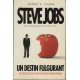 Steve Jobs un destin fulgurant les dessous de la revolution...