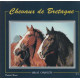 Chevaux de Bretagne