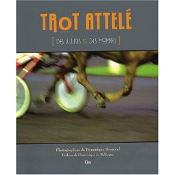Trot attelé: Des sulkys et des hommes