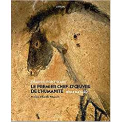 Chauvet-Pont d'Arc le premier chef-d'oeuvre de l'humanité révélé...