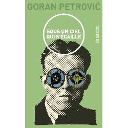 Sous un ciel qui s'écaille : Cinéroman