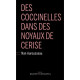Des coccinelles dans des noyaux de cerise