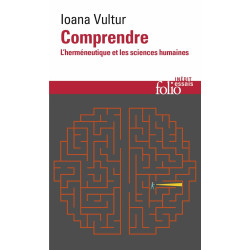 Comprendre: L'herméneutique et les sciences humaines