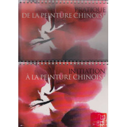 L'art de la peinture chinoise ( pratique et initiation )