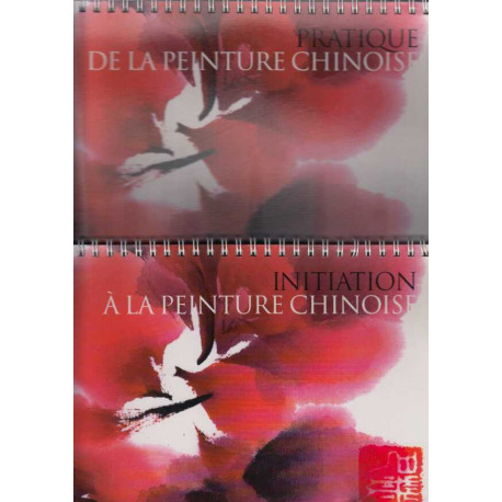 L'art de la peinture chinoise ( pratique et initiation )