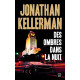 Des ombres dans la nuit