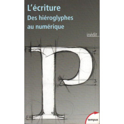 L'Ecriture des Hieroglyphes au Numerique