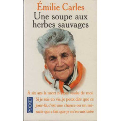 Une soupe aux herbes sauvages