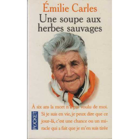 Une soupe aux herbes sauvages