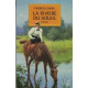 La rivière du soleil