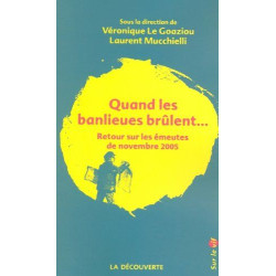 Quand les banlieues brûlent... : Retour sur les émeutes de...