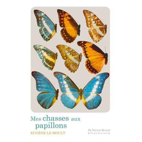 Mes Chasses Aux Papillons