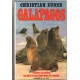 Galapagos