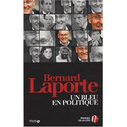 Un bleu en politique