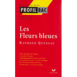 Les fleurs bleues Raymond Queneau