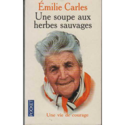 Une soupe aux herbes sauvages