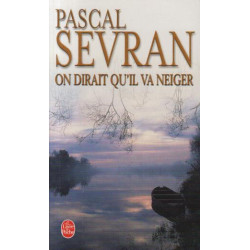 Journal tome 3 : On dirait qu'il va neiger