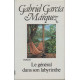 Le general dans son labyrinthe