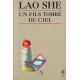 Un fils tombe du ciel