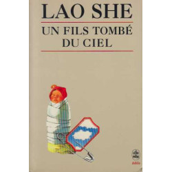 Un fils tombe du ciel