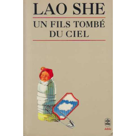 Un fils tombe du ciel