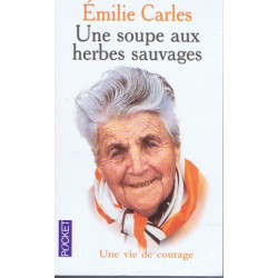 Une soupe aux herbes sauvages