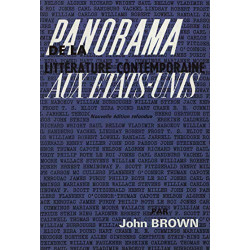 Panorama de la litterature contemporaine aux etats-unis