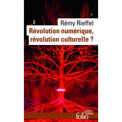 Revolution numerique revolution culturelle