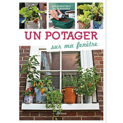 Un potager sur ma fenêtre
