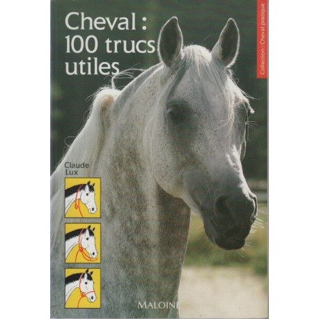 Cheval : 100 trucs utiles