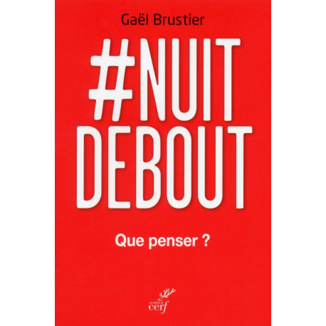 Nuit debout: que penser