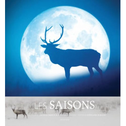 Les Saisons: L'hiver durait depuis 80 000 ans