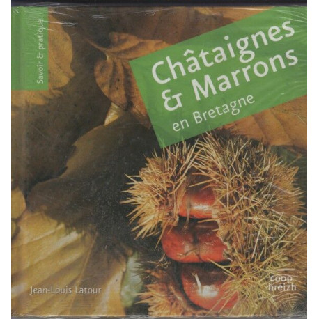 Chataignes et marrons en bretagne