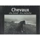 Chevaux du bout du monde