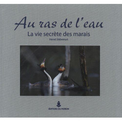 Au ras de l'eau. la vie secrete des marais