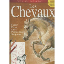 Les chevaux fusain encre lavis pastels secs sanguine...dessiner...
