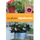 Les plantes dépolluantes