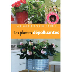 Les plantes dépolluantes