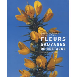 Fleurs sauvages de Bretagne