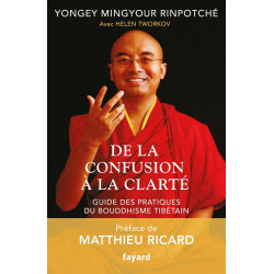 De la confusion à la clarté: Guide des pratiques du bouddhisme...