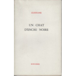 Un chat d'encre noire