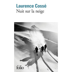 Nuit sur la neige