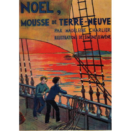 Noel mousse de terre-neuve