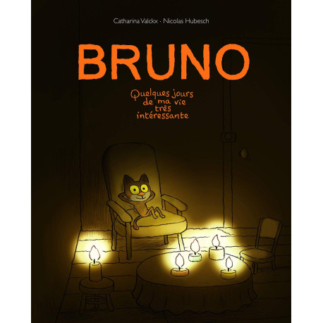 Bruno quelques jours de ma vie tres interessante: Quelques jours...