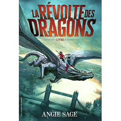 LA REVOLTE DES DRAGONS