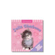 Jolis chatons