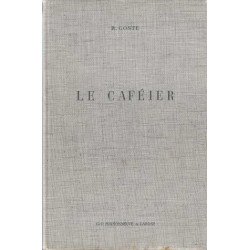 Le cafeier