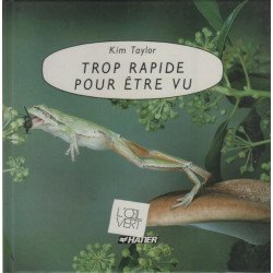 Trop rapide pour être vu