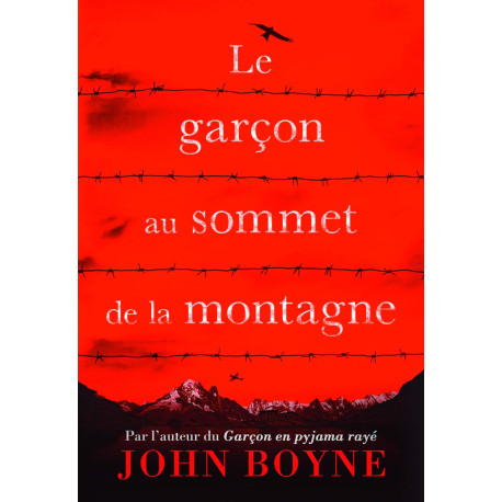 Le garçon au sommet de la montagne