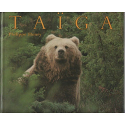 Taïga